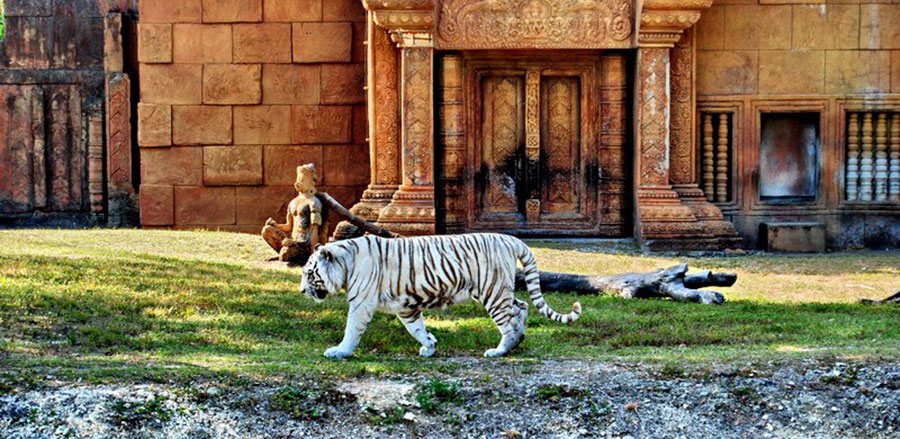 Miami Metro Zoo City Tour